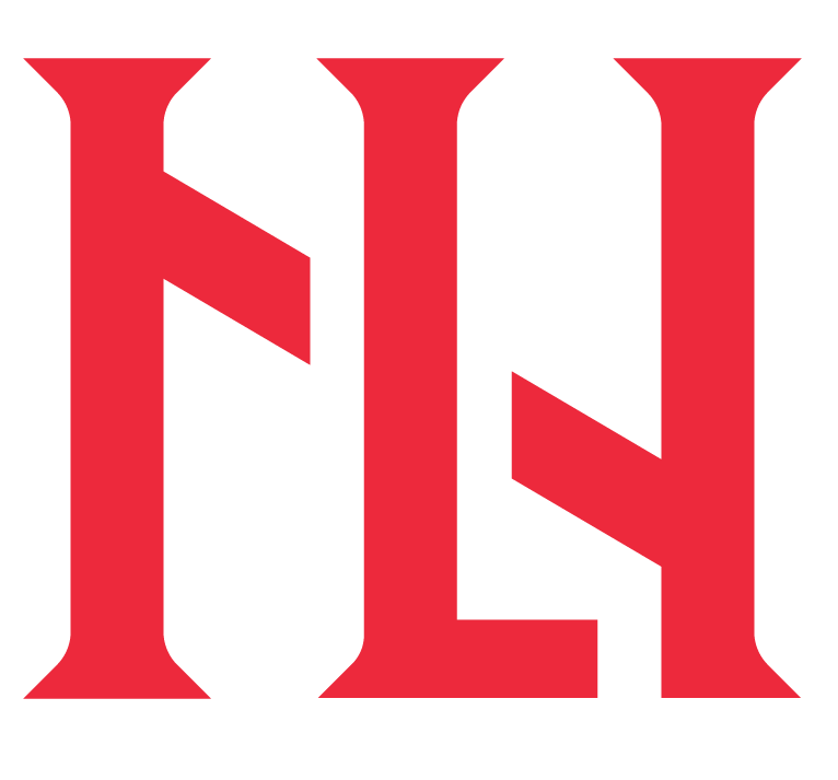 Next Level Group Logo